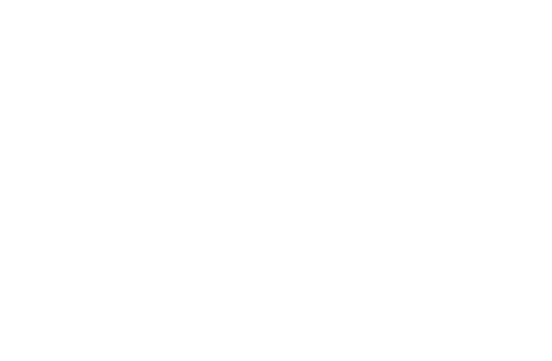 Residential Funding logo